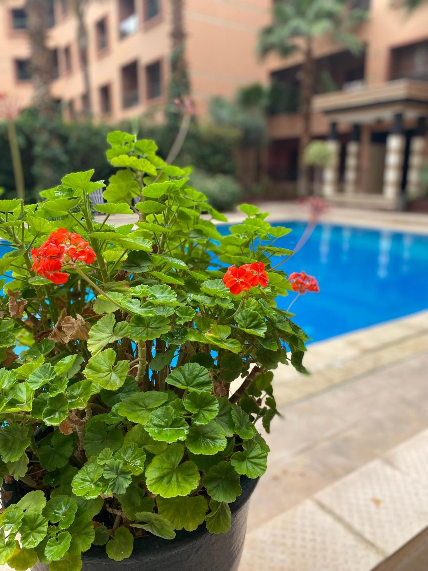 Residence Caprice Palace Hivernage Marrakesh Luaran gambar