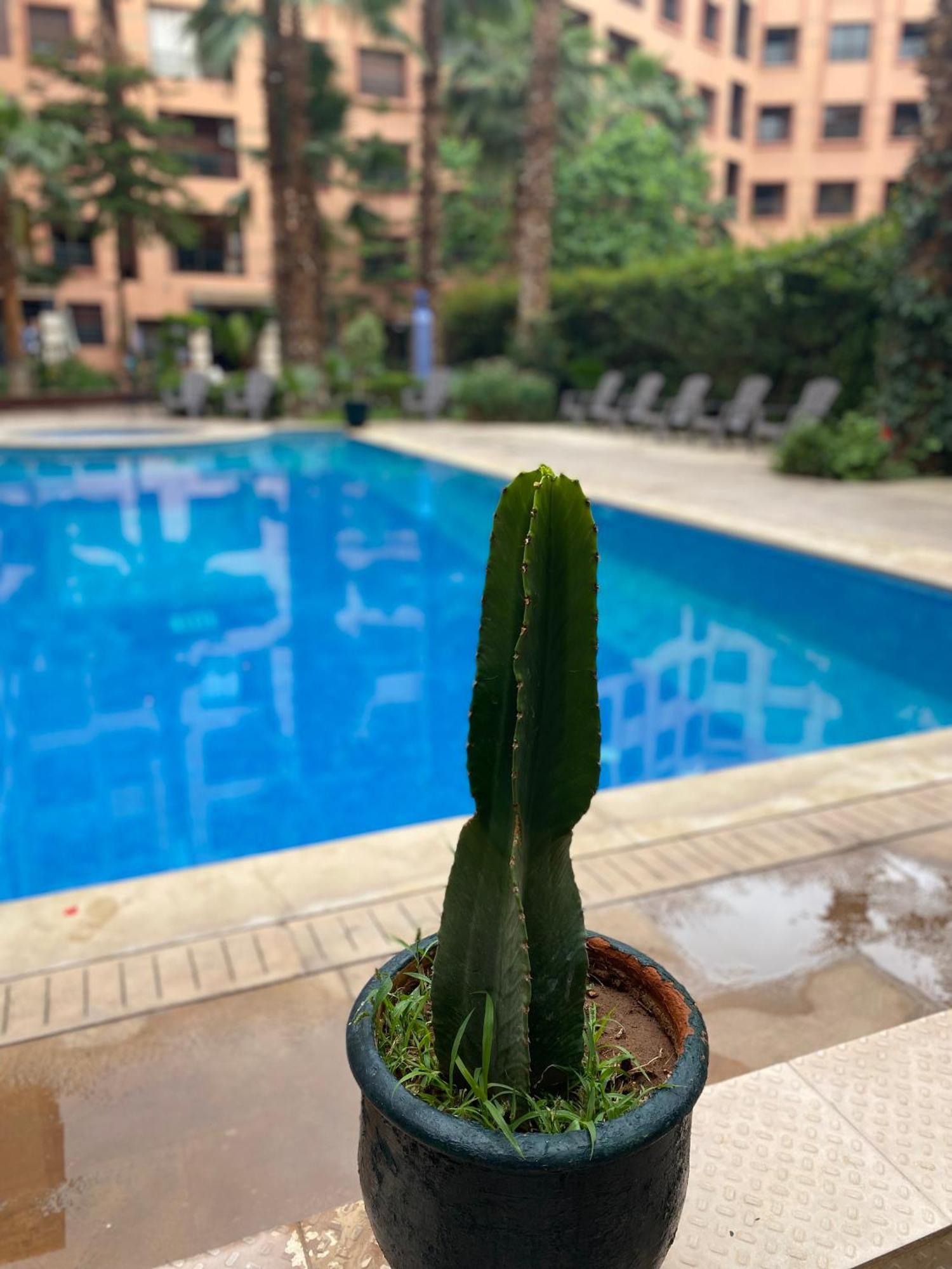 Residence Caprice Palace Hivernage Marrakesh Luaran gambar